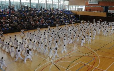 Trobada Comarcal de Karate